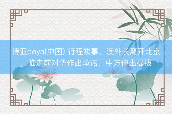 博亚boya(中国) 行程竣事，澳外长离开北京，临走前对华作出承诺，中方伸出提拔