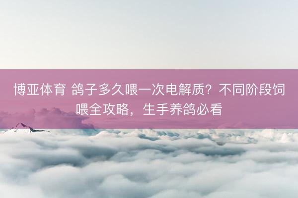博亚体育 鸽子多久喂一次电解质？不同阶段饲喂全攻略，生手养鸽必看