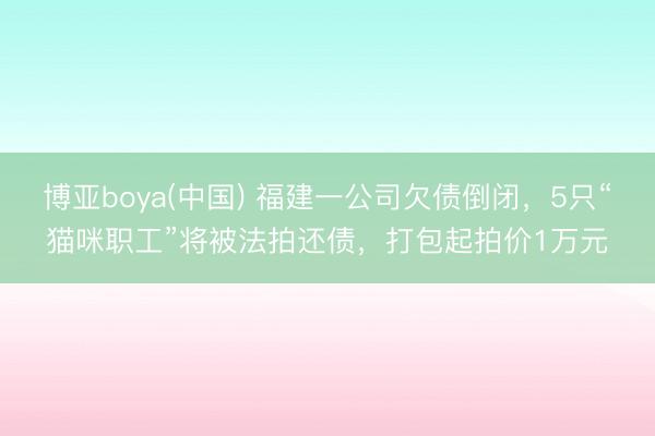博亚boya(中国) 福建一公司欠债倒闭，5只“猫咪职工”将被法拍还债，打包起拍价1万元