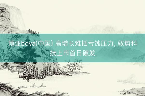 博亚boya(中国) 高增长难抵亏蚀压力, 驭势科技上市首日破发