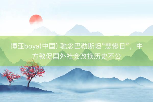 博亚boya(中国) 驰念巴勒斯坦“悲惨日”，中方敦促国外社会改换历史不公