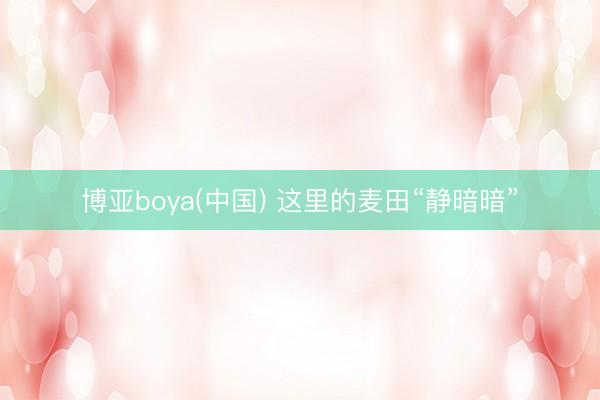 博亚boya(中国) 这里的麦田“静暗暗”