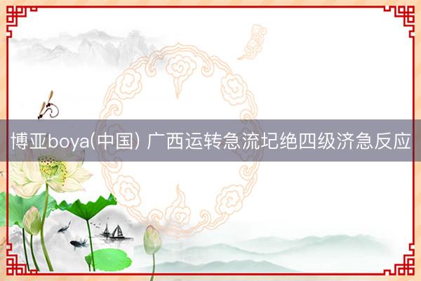 博亚boya(中国) 广西运转急流圮绝四级济急反应