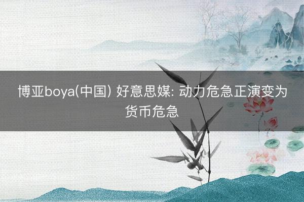 博亚boya(中国) 好意思媒: 动力危急正演变为货币危急