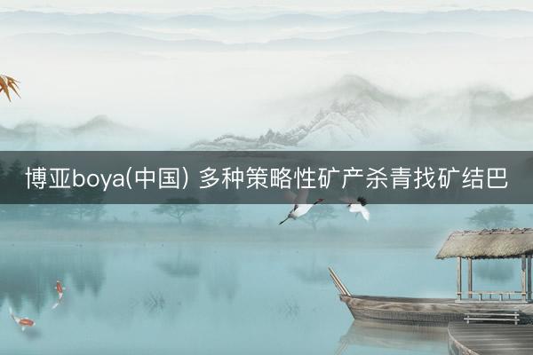 博亚boya(中国) 多种策略性矿产杀青找矿结巴