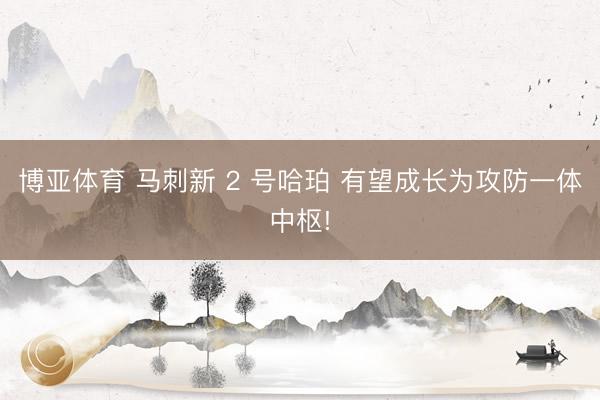 博亚体育 马刺新 2 号哈珀 有望成长为攻防一体中枢!
