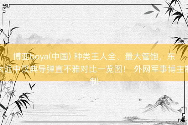 博亚boya(中国) 种类王人全、量大管饱，东大近中汉典导弹直不雅对比一览图！ 外网军事博主制