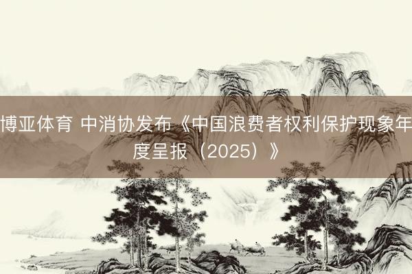 博亚体育 中消协发布《中国浪费者权利保护现象年度呈报（2025）》