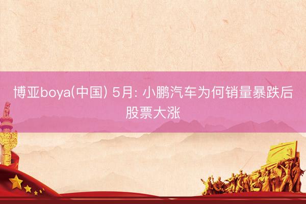 博亚boya(中国) 5月: 小鹏汽车为何销量暴跌后股票大涨
