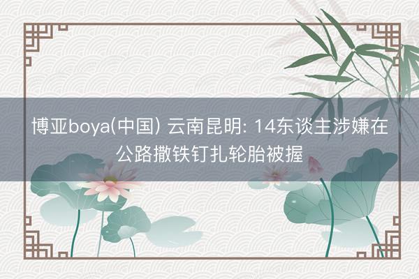 博亚boya(中国) 云南昆明: 14东谈主涉嫌在公路撒铁钉扎轮胎被握
