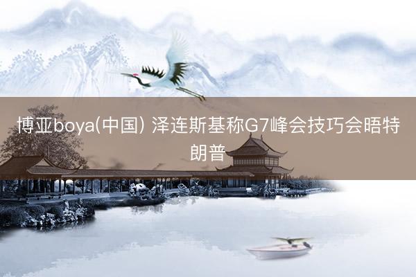 博亚boya(中国) 泽连斯基称G7峰会技巧会晤特朗普