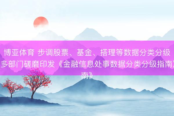 博亚体育 步调股票、基金、搭理等数据分类分级 多部门磋磨印发《金融信息处事数据分类分级指南》