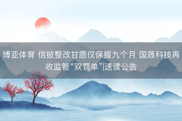 博亚体育 信披整改甘愿仅保握九个月 国晟科技再收监管“双罚单”|速读公告